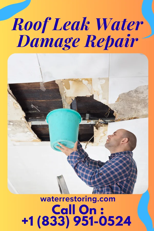 Roof Leak Water Damage Repair in Downs, IL