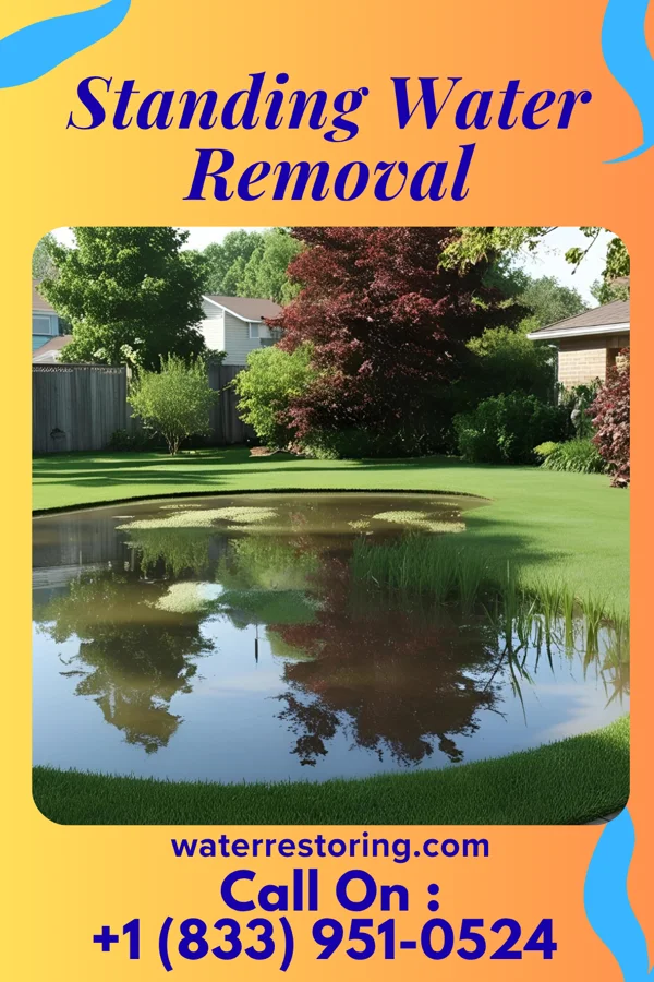 Standing Water Removal in Downs, IL